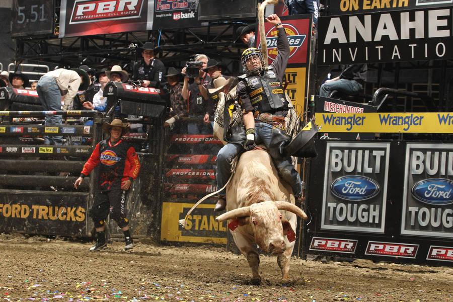 A Bull Rider Riding A Bull Wallpaper