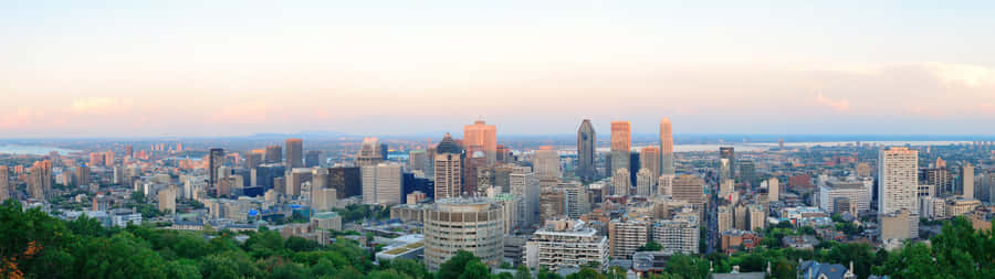 A Cityscape With Tall Buildings And Trees Wallpaper