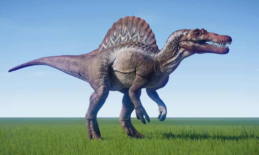 A Close-up Of A Spinosaurus, A Prehistoric Creature That Looked Like A Hybrid Of A Dinosaur And A Crocodile Wallpaper