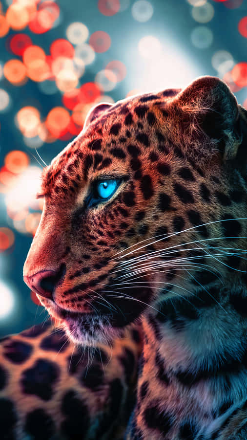 A Close-up Photo Of An African Cheetah Wallpaper
