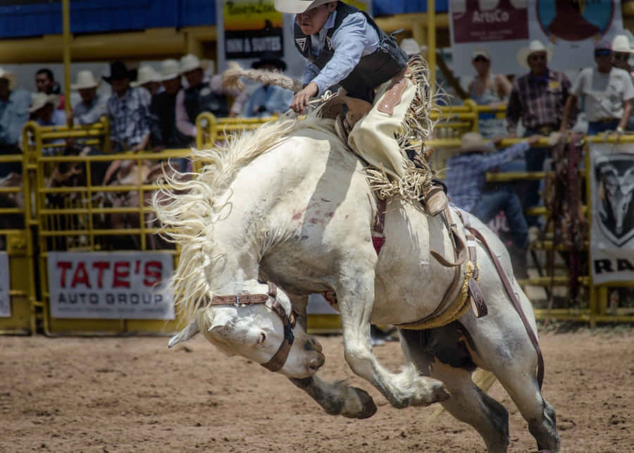A Cowboy Attempting A Bronco Ride In A Rodeo Competition. Wallpaper