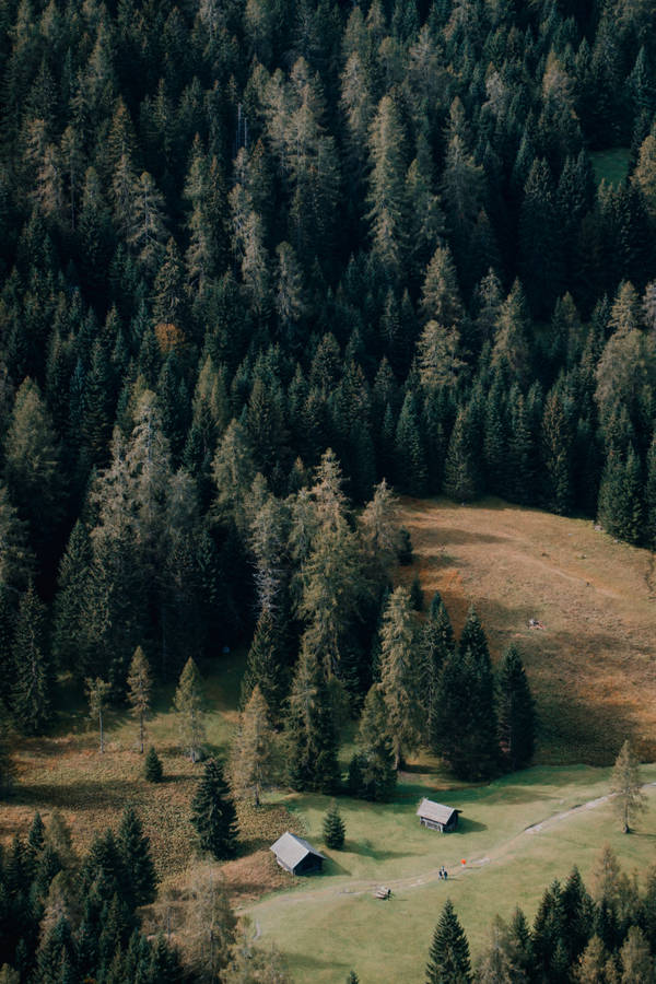 A Cozy Cabin Nestled In An Evergreen Forest Wallpaper