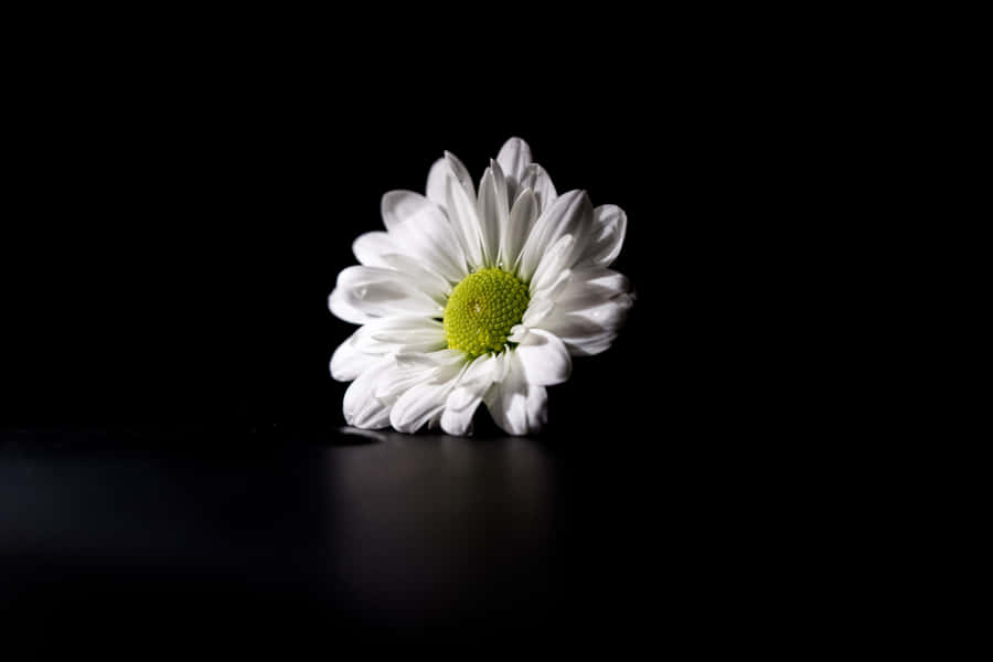 A Creatively-crafted Abstract Illustration Of A Dark Desktop. Wallpaper