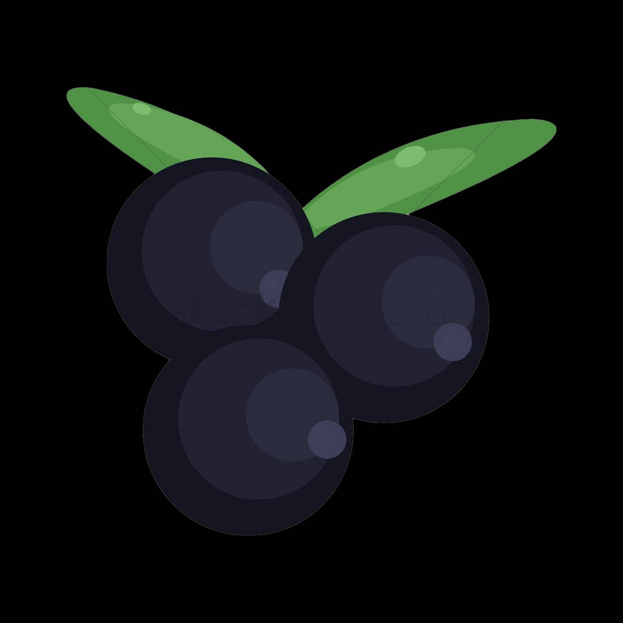 A Cute Blackcurrant Wallpaper