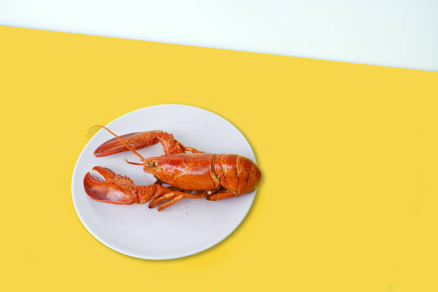 A Delectable Crayfish Dish On A Bright Yellow Table. Wallpaper