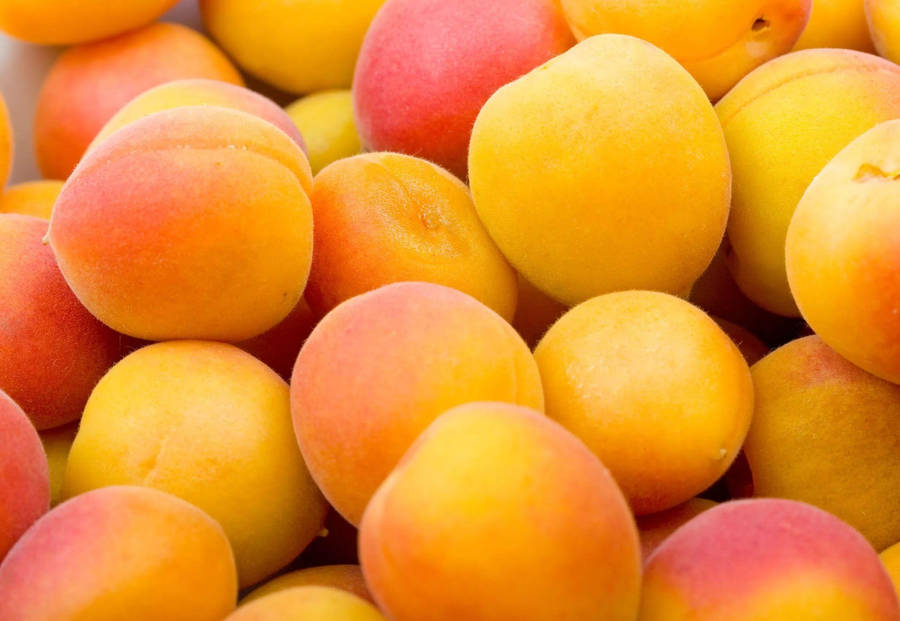 A Delightful Display Of Freshly Harvested Apricots Wallpaper