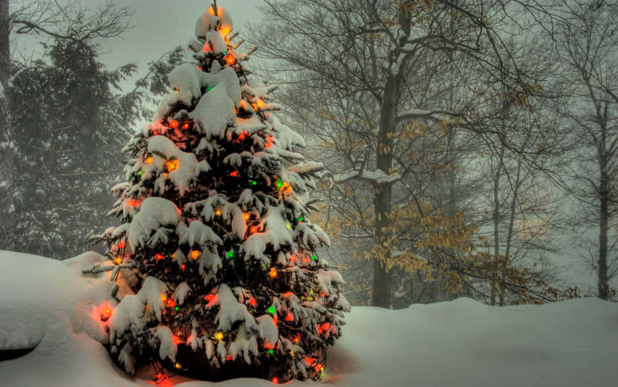 A Festive, Twinkling Aesthetic Christmas Tree Glittering In The Night. Wallpaper