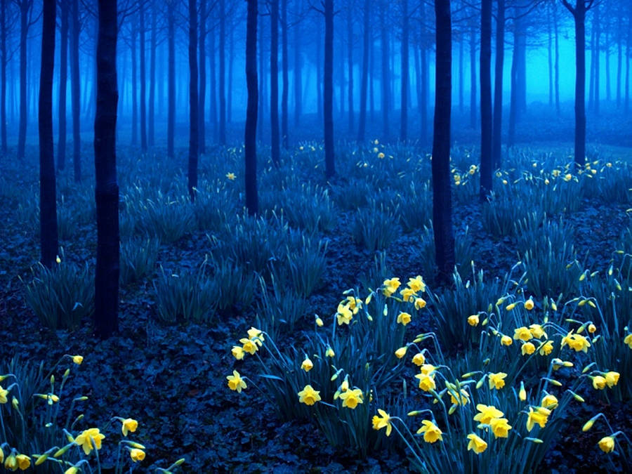 A Forest With Yellow Flowers In The Fog Wallpaper