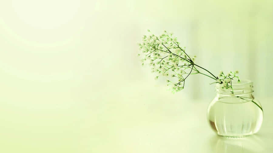 A Glass Vase With A Flower In It Wallpaper