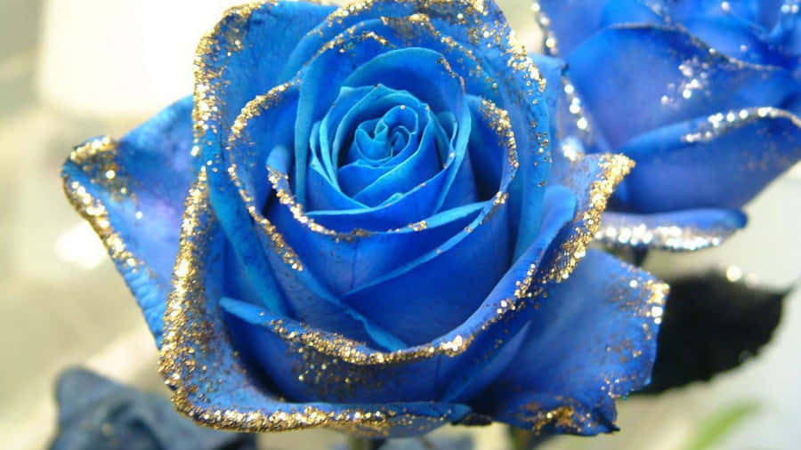 A Gorgeous Bouquet Of Delicate Blue Roses. Wallpaper