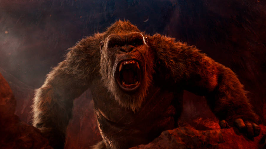 A Gorilla Is Standing In The Middle Of A Rocky Area Wallpaper