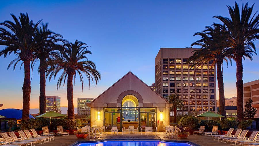 A Hotel Pool With Lounge Chairs And Palm Trees Wallpaper