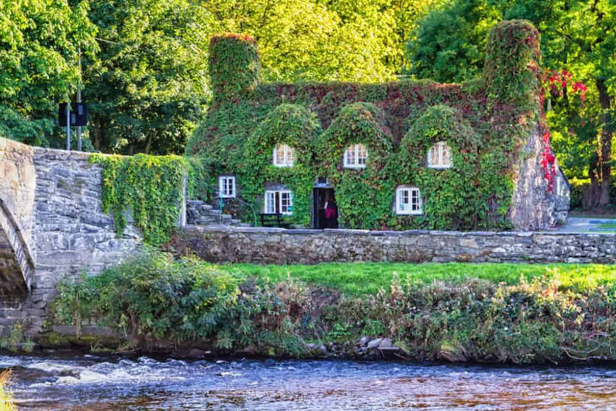 A House With Ivy Growing On It Next To A River Wallpaper