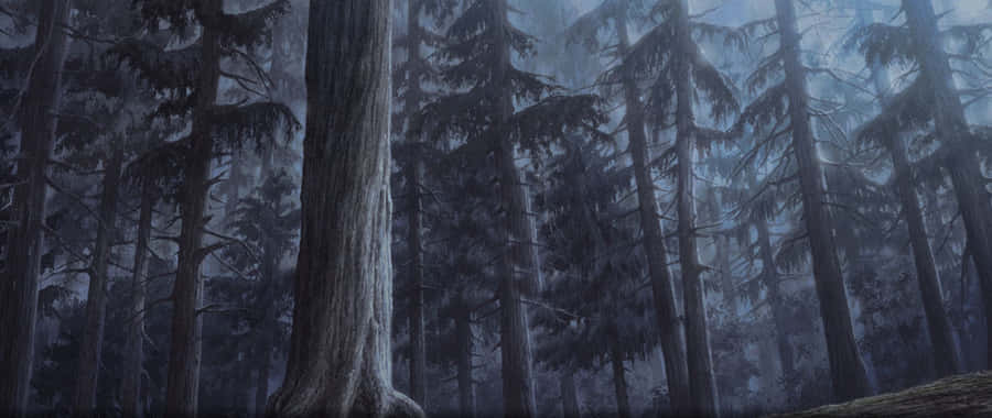 A Large Tree In The Forest Wallpaper