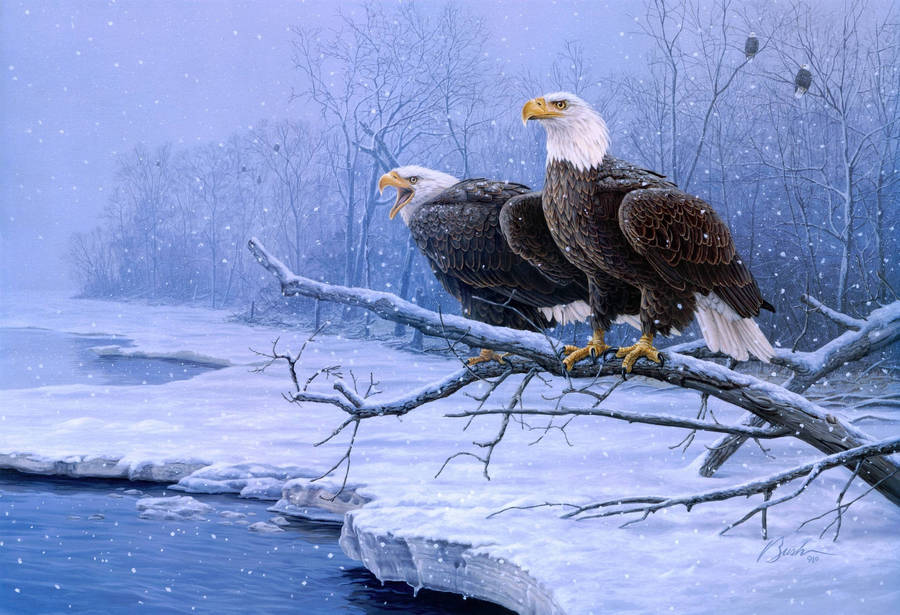 A Majestic Bald Eagle Perched By The Snowy River Wallpaper