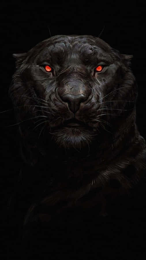 A Majestic Black Jaguar Stares Across The Savannah Wallpaper
