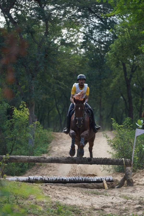 A Male Equestrian Practicing Horseback Riding Through Field Wallpaper