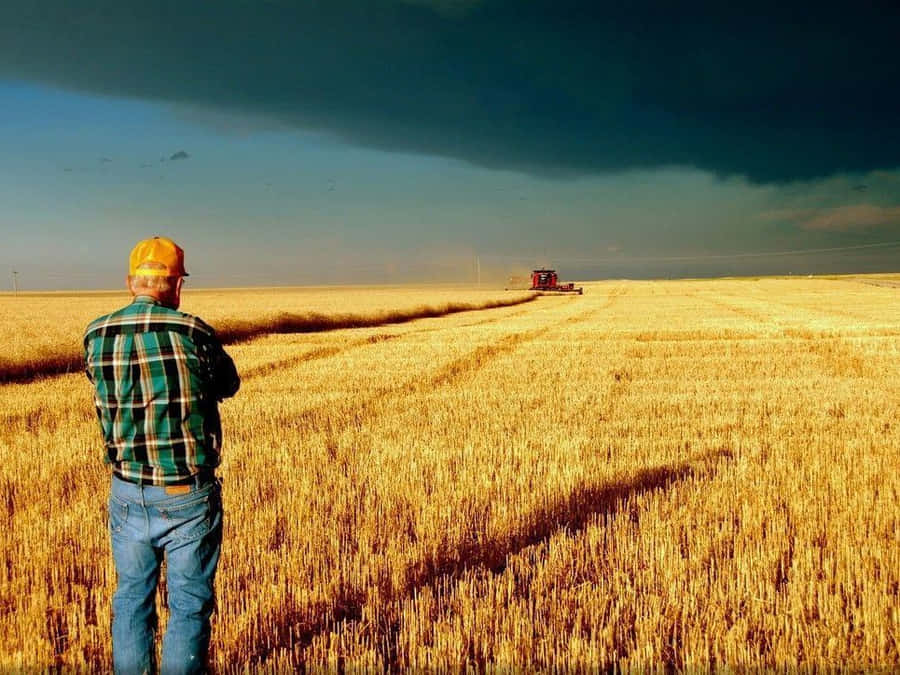 A Man Is Standing In A Wheat Field Looking At A Storm Wallpaper