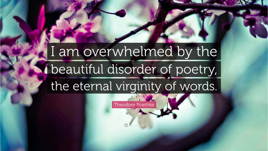 A Mesmerizing Snapshot Of Poetry Overwhelming Beauty Wallpaper