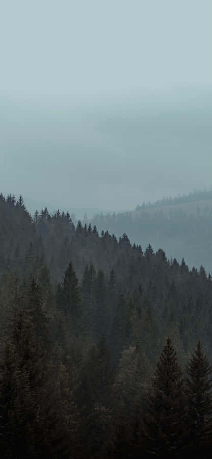 A Mountain With Trees Wallpaper