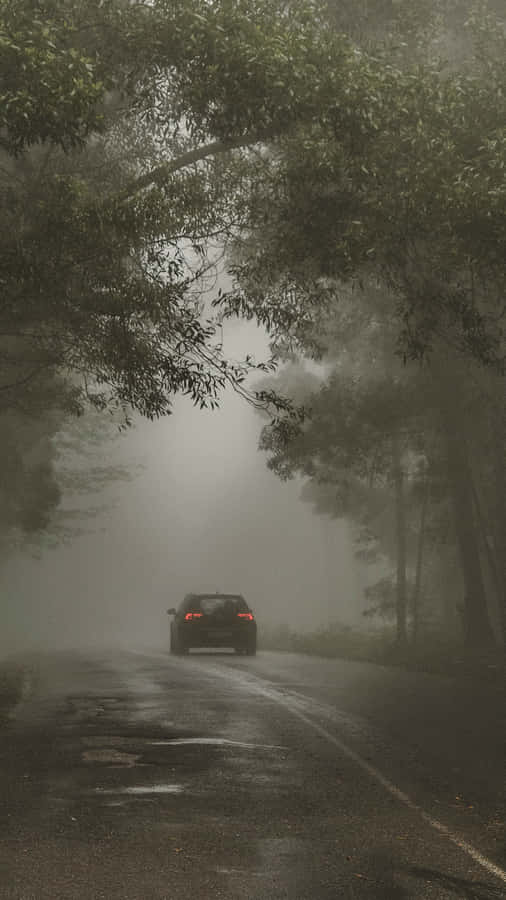 A Mystical View Of Nature At Night Wallpaper