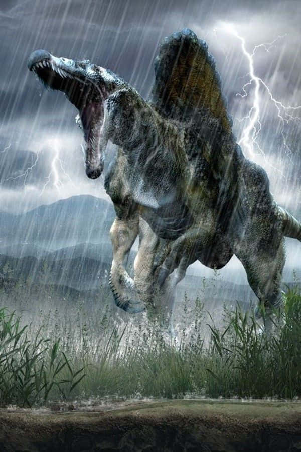 A Pair Of Spinosaurus Gazing At Each Other Wallpaper