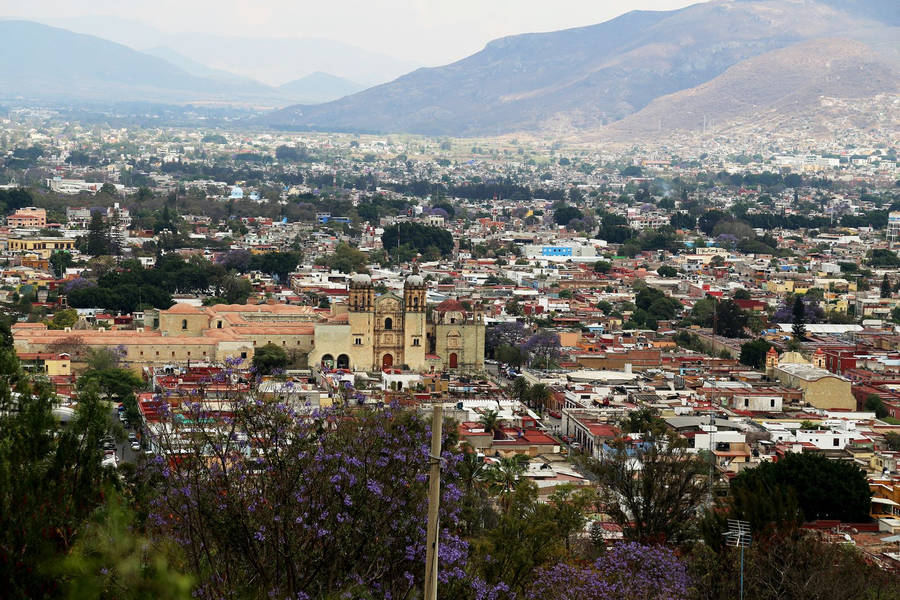 A Panoramic View Of Oaxaca Wallpaper