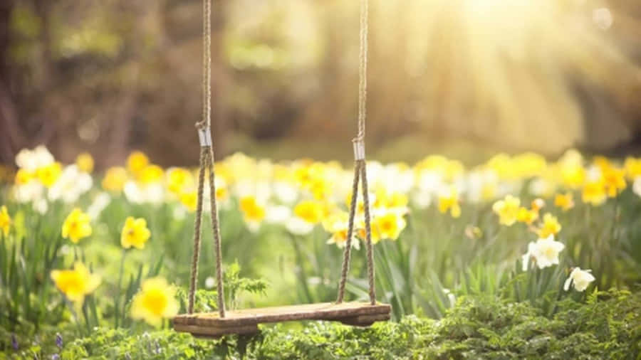 A Peaceful Walk In The Simple Beauty Of Spring Wallpaper