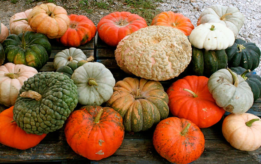 A Picturesque Fall Pumpkin Display Wallpaper