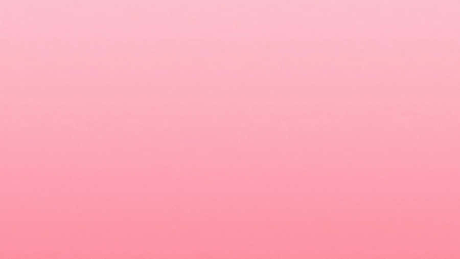 A Plain Pink Desktop For Your Home Office Wallpaper