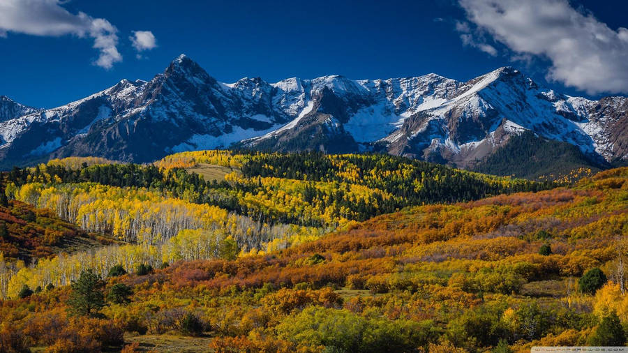 A Scenic Wilderness In Denver Wallpaper