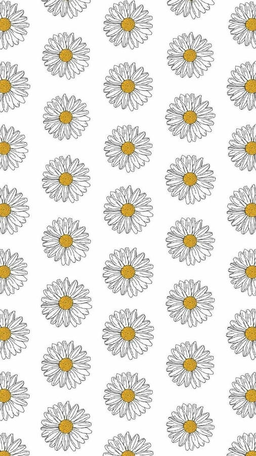 A Serene White Daisy Aesthetic Pattern Art Wallpaper