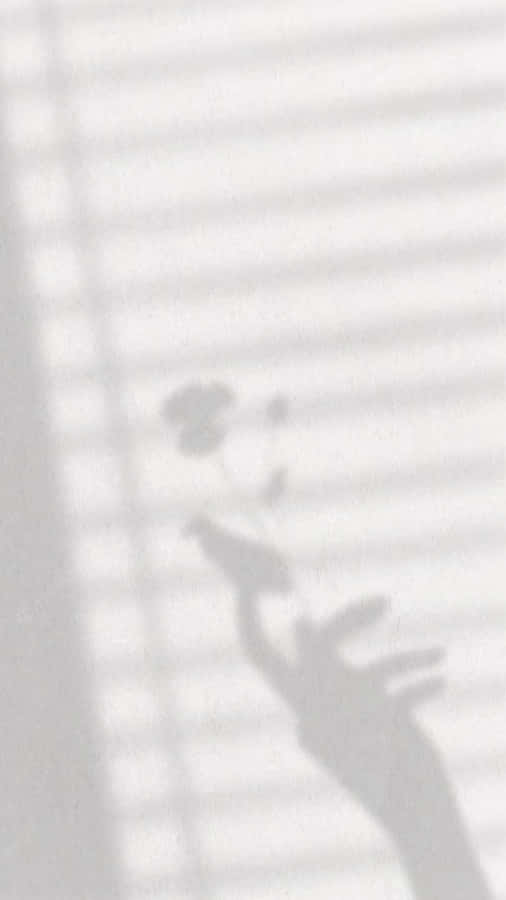 A Shadow Of A Hand On A White Wall Wallpaper