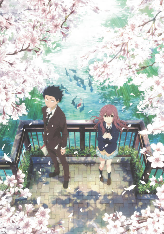 A Silent Voice Couple Sakura Pond Wallpaper
