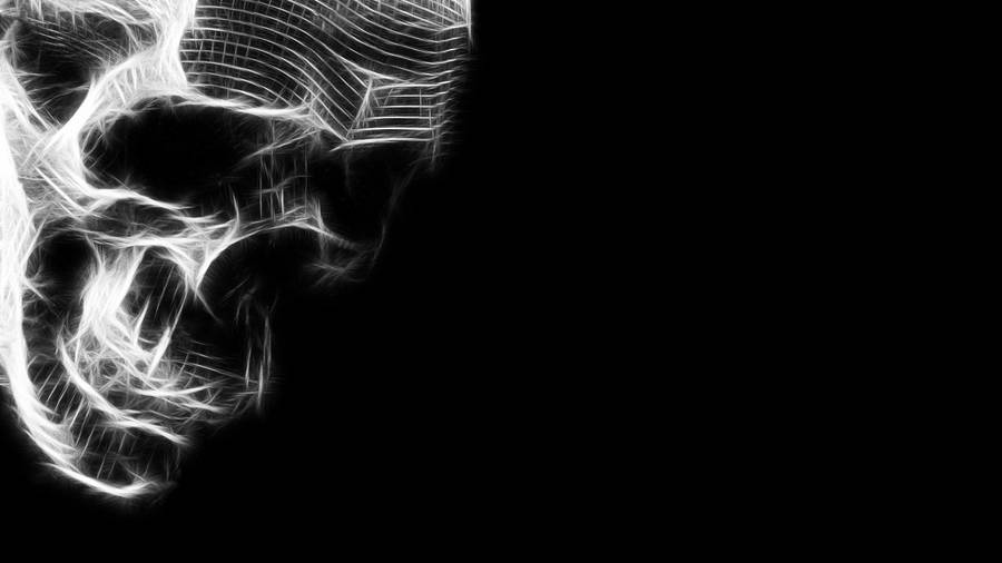 A Skull With A White Background Wallpaper