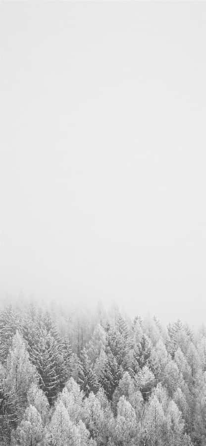 A Sleek Iphone In The Snow Wallpaper