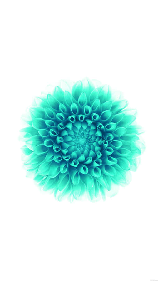 A Sleek Turquoise Iphone Wallpaper
