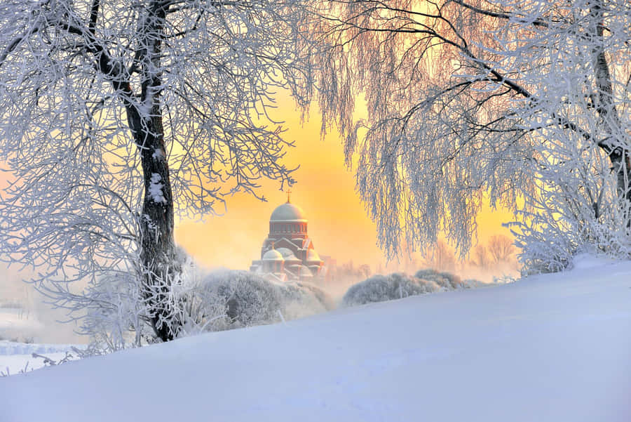 A Snow Covered Forest With Trees And A Church Wallpaper