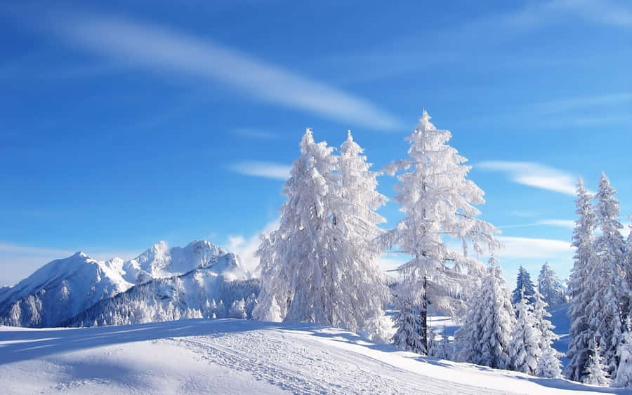 A Snowy Landscape Winter Wonderland Desktop Wallpaper