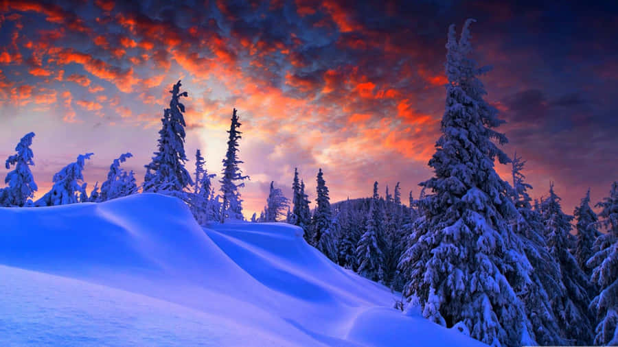 A Snowy Landscape With Trees And A Colorful Sky Wallpaper