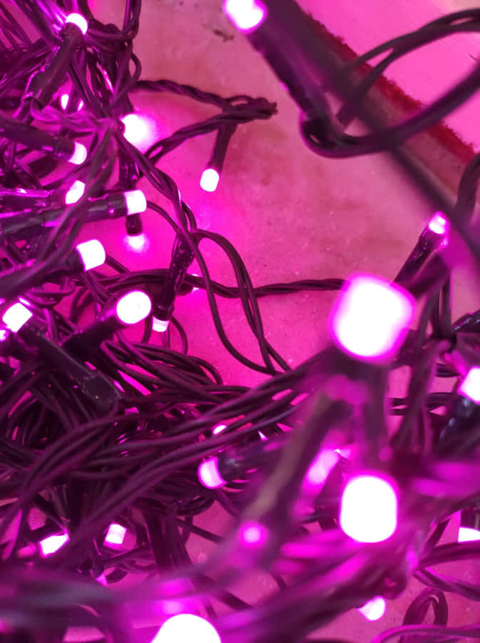 A String Of Pink Fairy Lights Blossoming In The Night Wallpaper