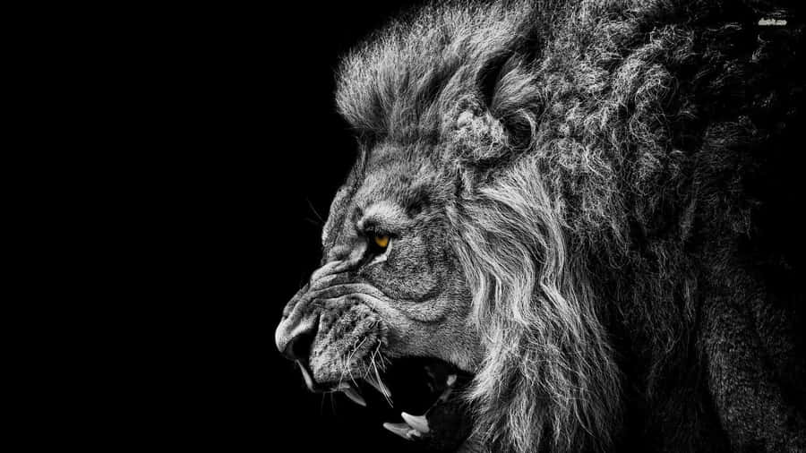 A Stunning Roar Of Power And Strength! Wallpaper