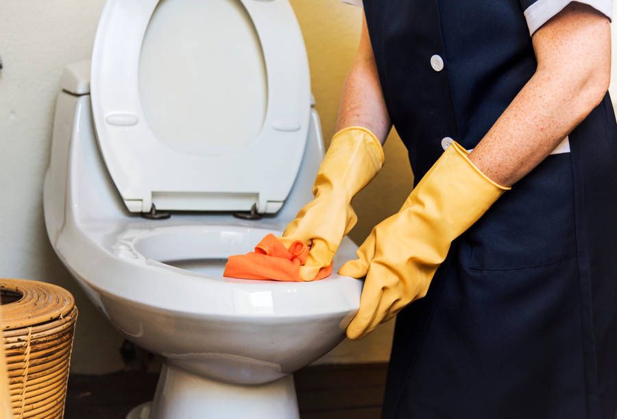 A Thorough Toilet Cleaning Produced By A Professional House Cleaner Wallpaper