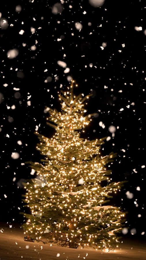 A Tranquil Night With A Breathtakingly Beautiful Christmas Tree Wallpaper