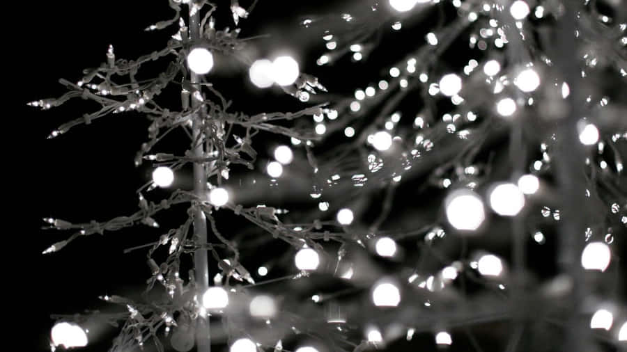 A Tree With White Lights On It Wallpaper