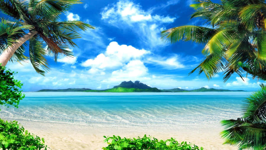 A Tropical Beach With Palm Trees And Water Wallpaper