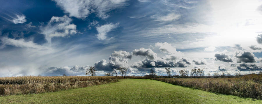 A Vast Expanse Of Rolling Corn Fields Wallpaper