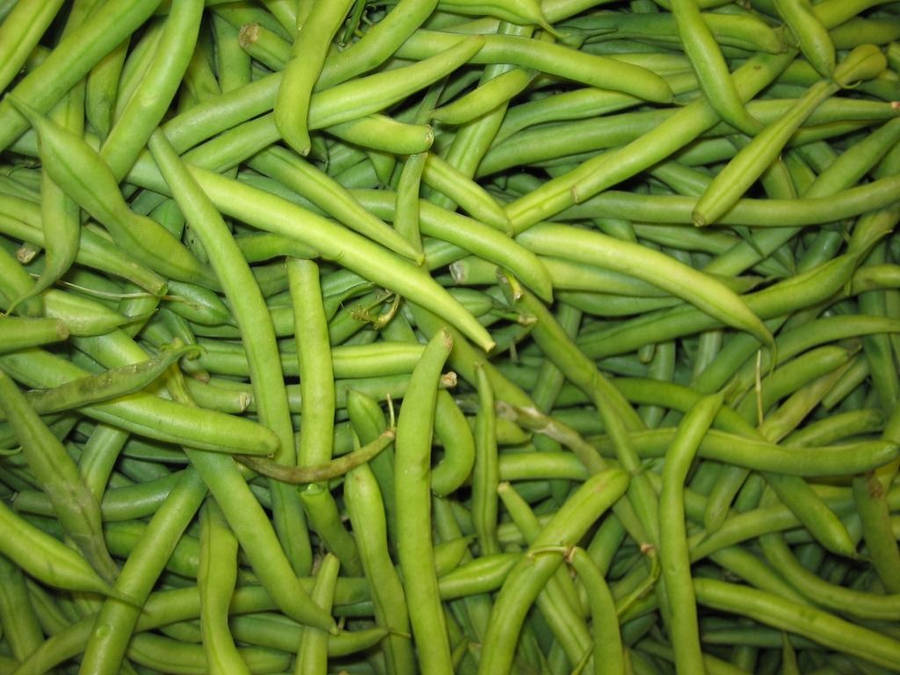 A Vibrant Collection Of Fresh Green Beans Wallpaper