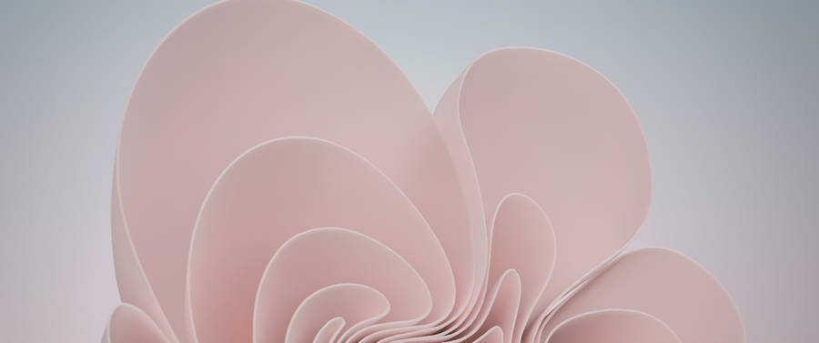 A Vibrant View Of Pink And White. Wallpaper