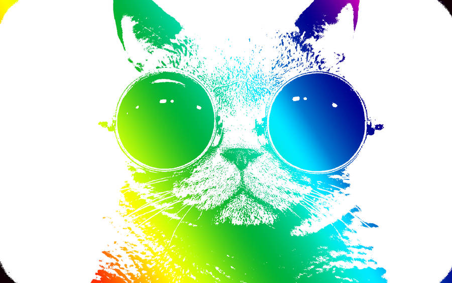 A Vibrantly Colored Cool Cat Amidst A Rainbow Backdrop Wallpaper